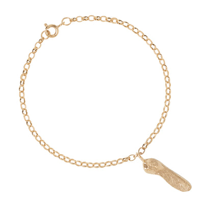 A gold bracelet featuring an Sycamore Gap seed charm, laid out on an oval belcher chain.