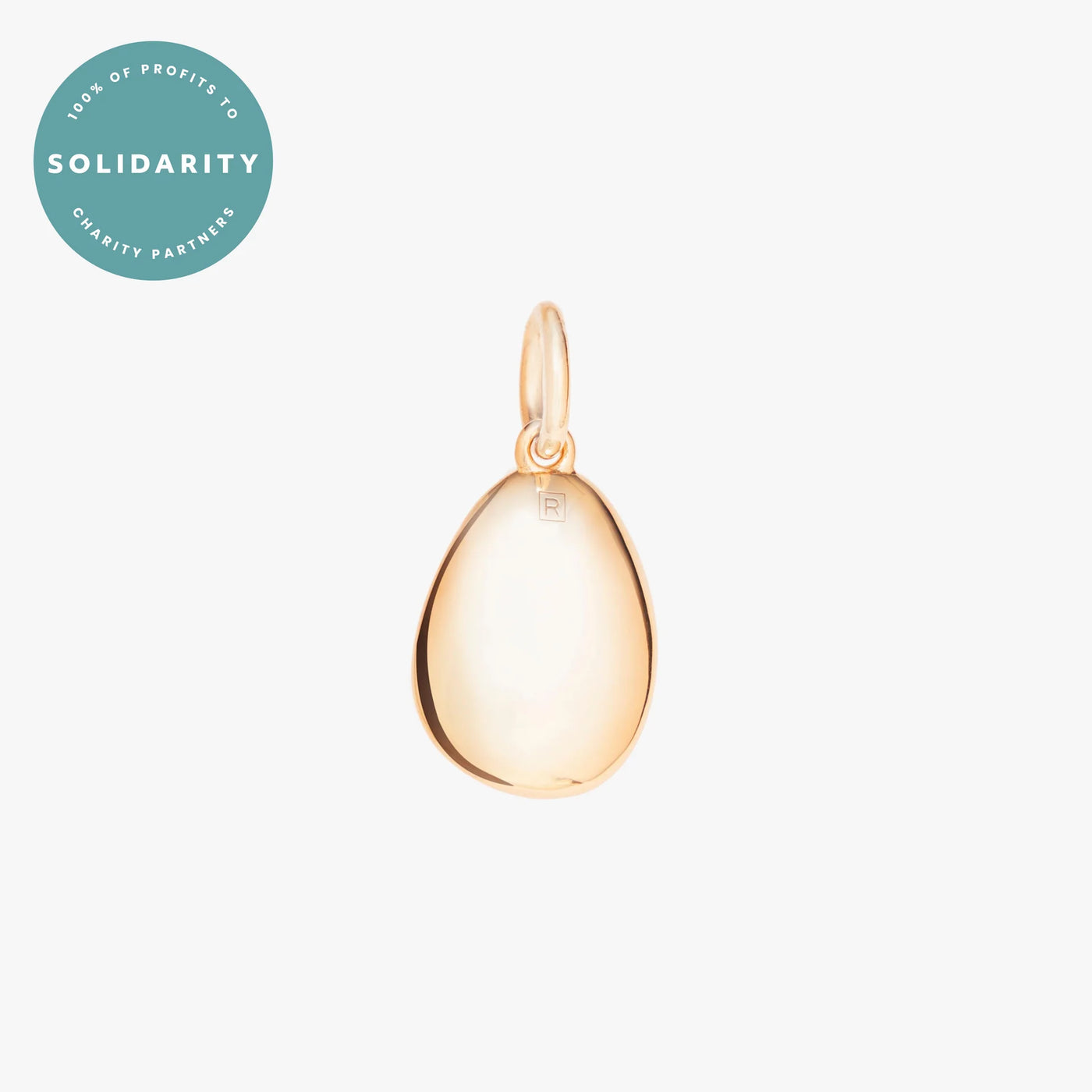 Gold Pebble Charm with Paperclip Chain