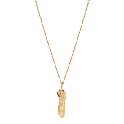A gold sycamore seed pendant on a gold curb chain on a white background. The sycamore seed is from the Sycamore Gap Tree in Northumberland 