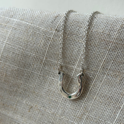 Silver Horseshoe and sapphire on a textured fabric background