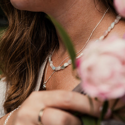 Close-up of a person holding pink roses with a blurred background
