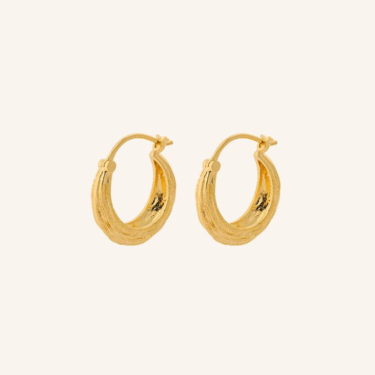 Gold hoop earrings on a light beige background