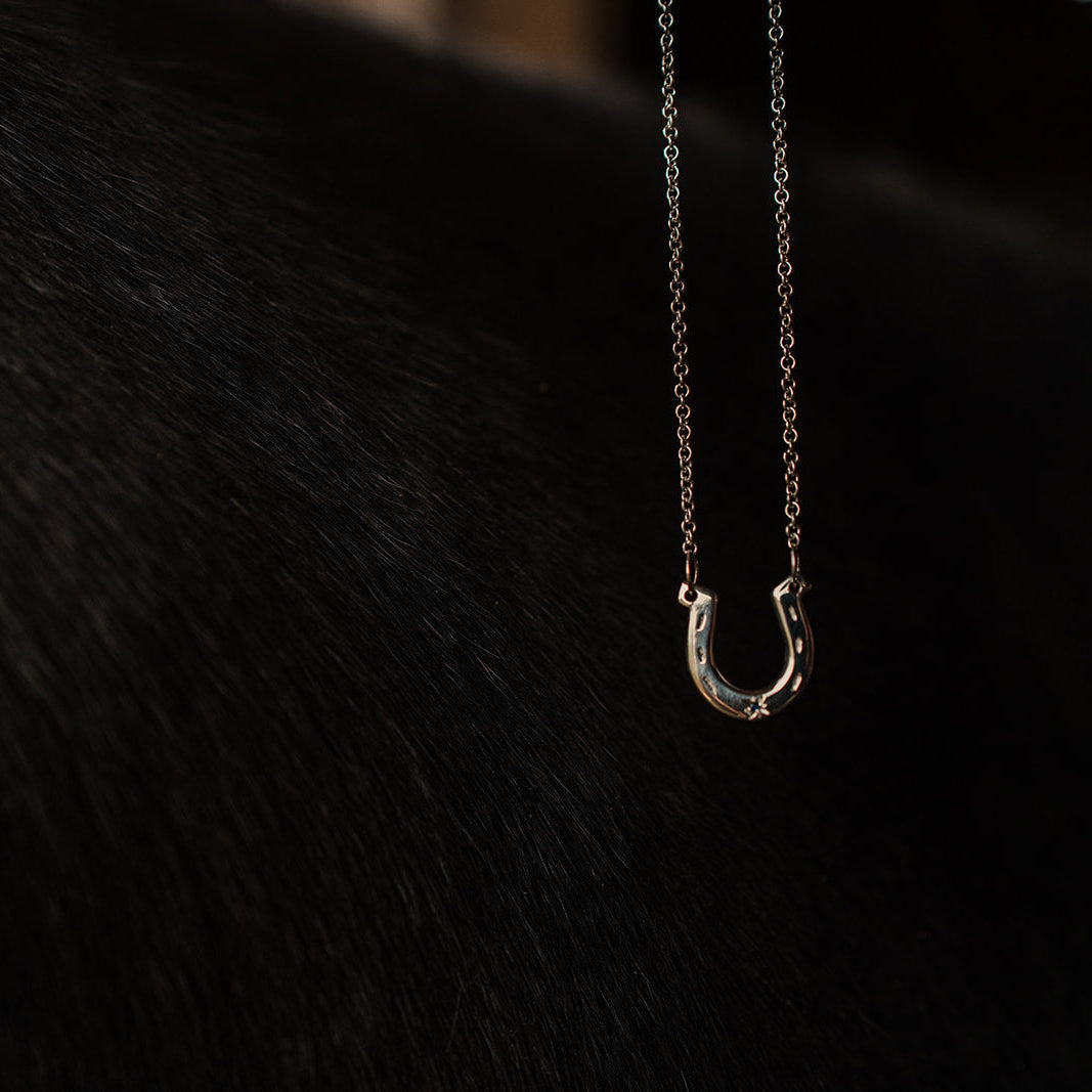 Silver necklace with a horseshoe pendant on a dark background