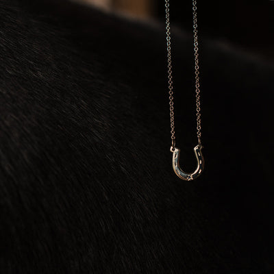 Silver necklace with a horseshoe pendant on a dark background