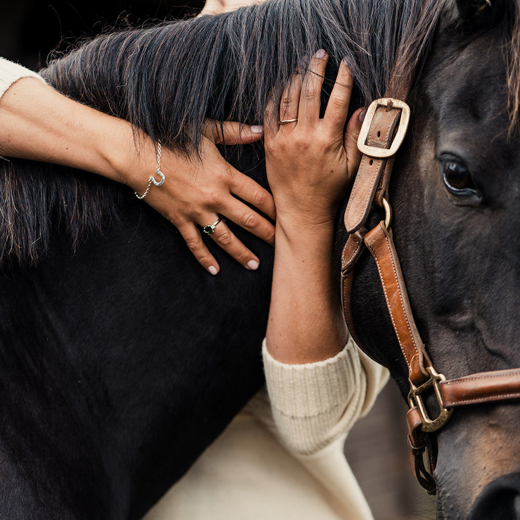 Person petting a horse with a close-up of their hands and face.