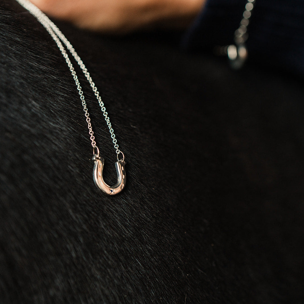 Horseshoe necklace on a black fabric background